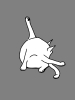 cat washing bottom